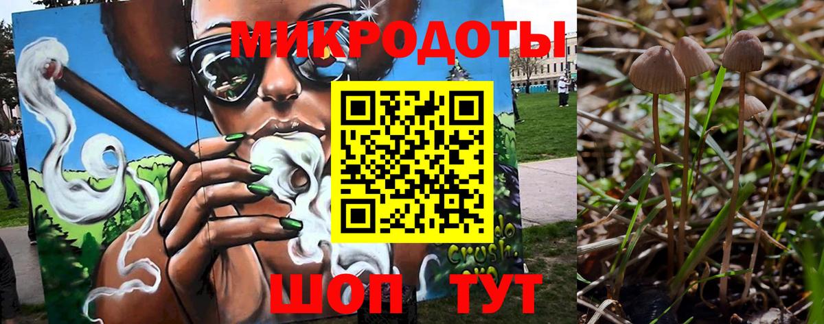 Галлюциногенные грибы мухоморы  Вход с VPN  Вольск 